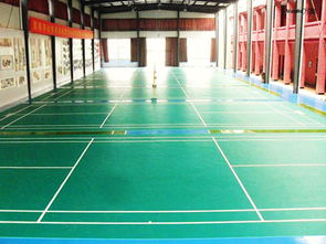 来宾PVC复合地板 PVC同透地板 橡胶地板